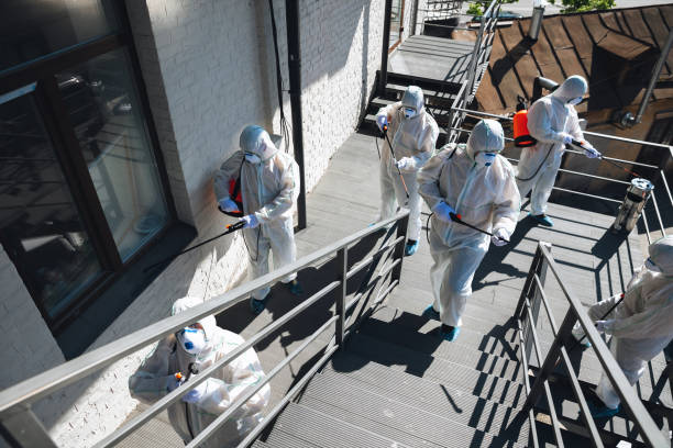 Best Crawl Space Mold Remediation  in Aurora, CO
