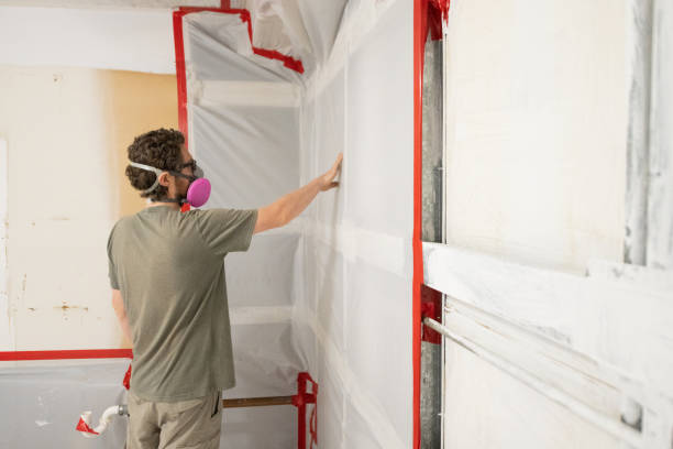 Mold Removal for HVAC Installations in Aurora, CO