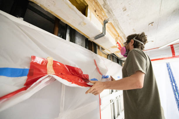 Reliable Aurora, CO Mold Removal Solutions
