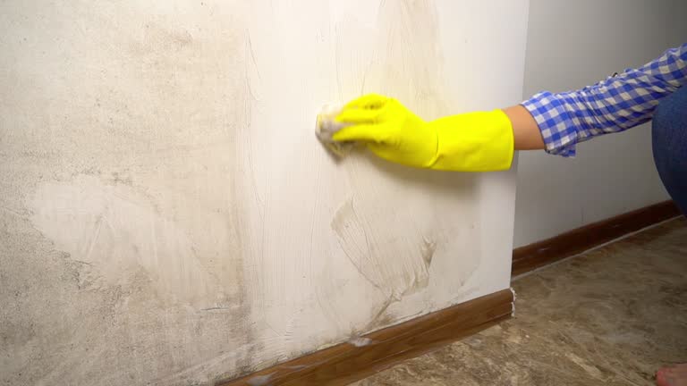 Best Real Estate Mold Inspection  in Aurora, CO