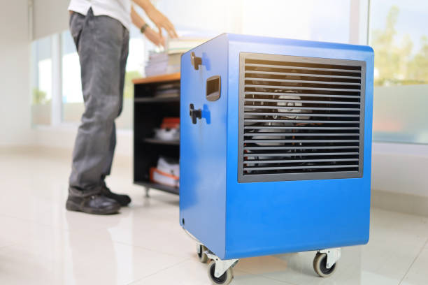 Best Forensic Mold Investigation  in Aurora, CO