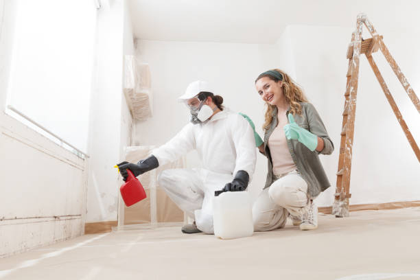 Best Environmental Consulting for Mold Prevention  in Aurora, CO