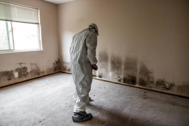 Best Biohazard Mold Removal  in Aurora, CO